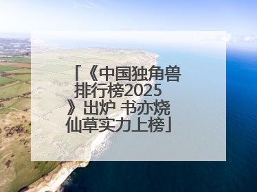 《中国独角兽排行榜2025》出炉 书亦烧仙草实力上榜