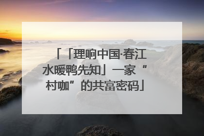 「理响中国·春江水暖鸭先知」一家“村咖”的共富密码
