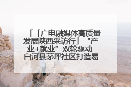 「广电融媒体高质量发展陕西采访行」“产业+就业”双轮驱动 白河县茅坪社区打造易地搬迁后扶新样本