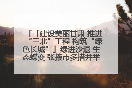 「建设美丽甘肃 推进“三北”工程 构筑“绿色长城”」绿进沙退 生态蝶变 张掖市多措并举加大防沙治沙力度