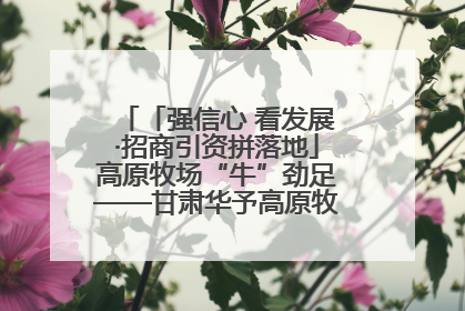 「强信心 看发展·招商引资拼落地」高原牧场“牛”劲足——甘肃华予高原牧场高标准奶牛肉牛养殖项目一线见闻