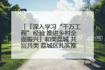 「深入学习“千万工程”经验 推进乡村全面振兴」和美荔城 共富共美 荔城区扎实推进乡村振兴工作