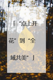 “点上开花”到“全域共美”
