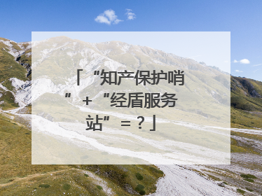 “知产保护哨”+“经盾服务站”=？