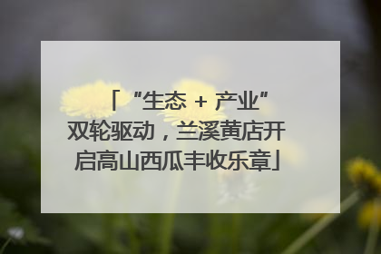 “生态 + 产业”双轮驱动，兰溪黄店开启高山西瓜丰收乐章