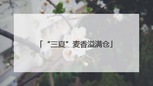 “三夏”麦香溢满仓