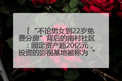“不论男女到22岁免费分房”背后的南村社区：固定资产超20亿元，投资的影视基地被称为“山村好莱坞”