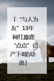 “与人为友”13年 网红麋鹿“点点”已产下8胎幼崽