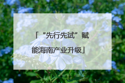 “先行先试”赋能海南产业升级