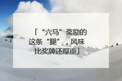 “六马”奖励的这条“腿”，风味比奖牌还厚重