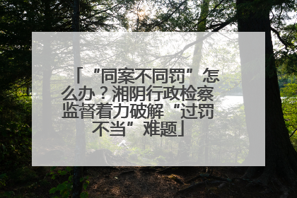 “同案不同罚”怎么办？湘阴行政检察监督着力破解“过罚不当”难题