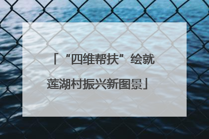 “四维帮扶”绘就莲湖村振兴新图景
