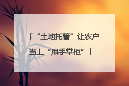 “土地托管”让农户当上“甩手掌柜”