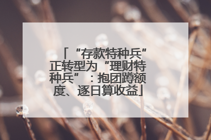 “存款特种兵”正转型为“理财特种兵”：抱团蹲额度、逐日算收益