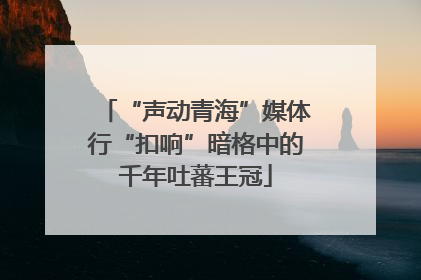 “声动青海”媒体行“扣响”暗格中的千年吐蕃王冠