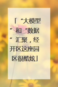 “大模型”和“数据”汇聚，经开区这座园区很酷炫