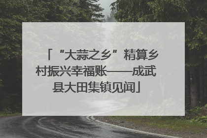 “大蒜之乡”精算乡村振兴幸福账——成武县大田集镇见闻