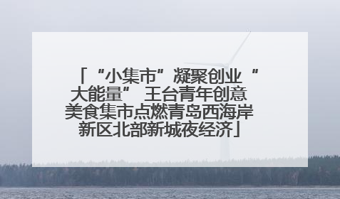 “小集市”凝聚创业“大能量” 王台青年创意美食集市点燃青岛西海岸新区北部新城夜经济