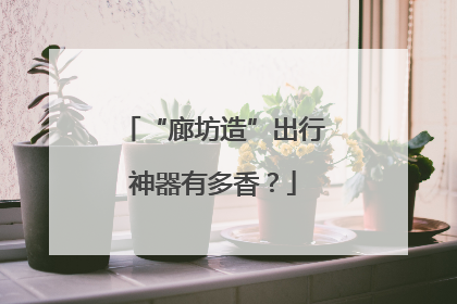 “廊坊造”出行神器有多香？