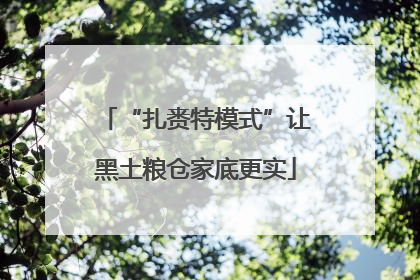 “扎赉特模式”让黑土粮仓家底更实