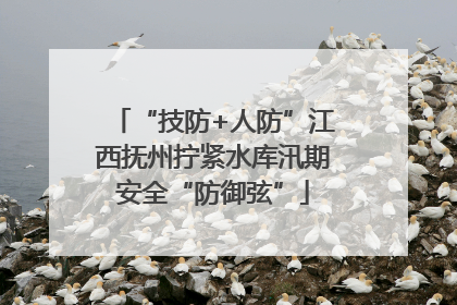 “技防+人防”江西抚州拧紧水库汛期安全“防御弦”
