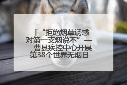 “拒绝烟草诱惑 对第一支烟说不”——曹县疾控中心开展第38个世界无烟日科普宣传活动