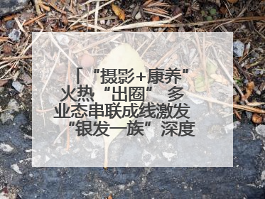 “摄影+康养”火热“出圈” 多业态串联成线激发“银发一族”深度游潜力