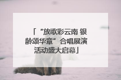 “放歌彩云南 银龄颂华章”合唱展演活动盛大启幕