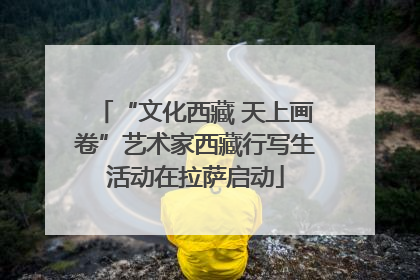 “文化西藏 天上画卷”艺术家西藏行写生活动在拉萨启动