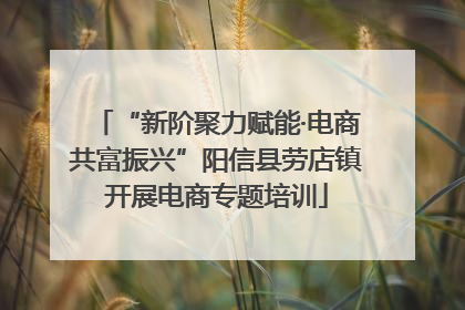“新阶聚力赋能·电商共富振兴”阳信县劳店镇开展电商专题培训