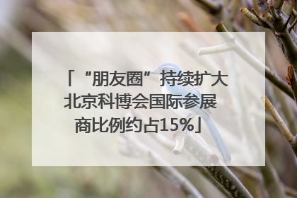 “朋友圈”持续扩大 北京科博会国际参展商比例约占15%