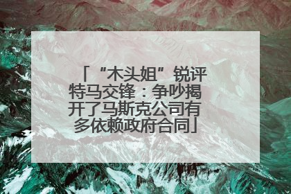 “木头姐”锐评特马交锋：争吵揭开了马斯克公司有多依赖政府合同
