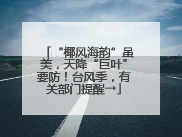 “椰风海韵”虽美，天降“巨叶”要防！台风季，有关部门提醒→