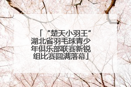 “楚天小羽王”湖北省羽毛球青少年俱乐部联赛新锐组比赛圆满落幕