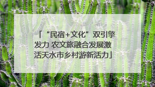 “民宿+文化”双引擎发力 农文旅融合发展激活天水市乡村游新活力
