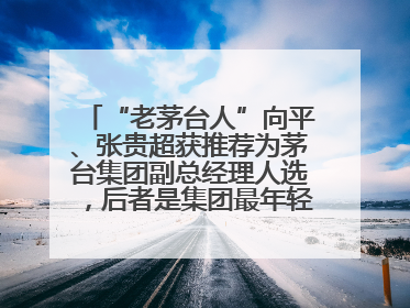 “老茅台人”向平、张贵超获推荐为茅台集团副总经理人选，后者是集团最年轻党委委员
