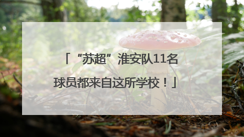 “苏超”淮安队11名球员都来自这所学校！
