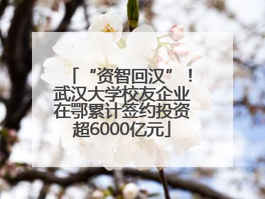 “资智回汉”！武汉大学校友企业在鄂累计签约投资超6000亿元
