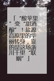 “酸苹果”变“甜酒酿”！盐源高原果的华丽转身，靠的是这场浙川千里“联姻”