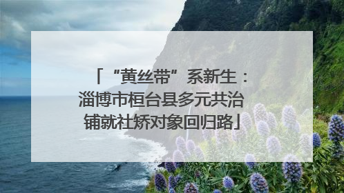 “黄丝带”系新生：淄博市桓台县多元共治铺就社矫对象回归路