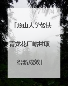 燕山大学帮扶青龙花厂峪村取得新成效