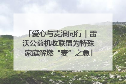 爱心与麦浪同行｜雷沃公益机收联盟为特殊家庭解燃“麦”之急