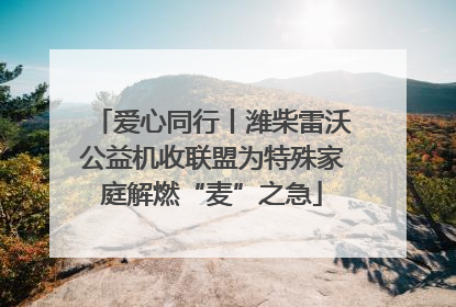 爱心同行丨潍柴雷沃公益机收联盟为特殊家庭解燃“麦”之急