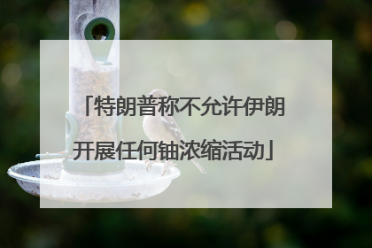 特朗普称不允许伊朗开展任何铀浓缩活动
