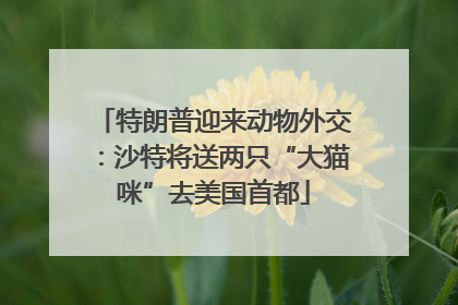 特朗普迎来动物外交：沙特将送两只“大猫咪”去美国首都
