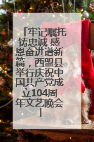 牢记嘱托铸忠诚 感恩奋进谱新篇，西盟县举行庆祝中国共产党成立104周年文艺晚会