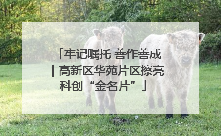 牢记嘱托 善作善成｜高新区华苑片区擦亮科创“金名片”