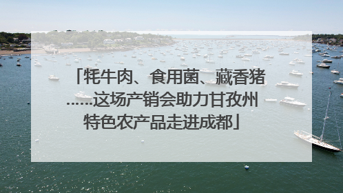 牦牛肉、食用菌、藏香猪……这场产销会助力甘孜州特色农产品走进成都