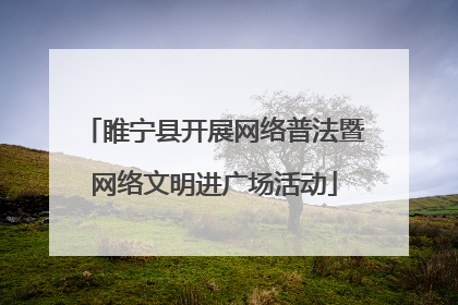 睢宁县开展网络普法暨网络文明进广场活动