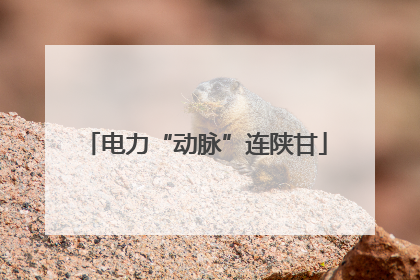 电力“动脉”连陕甘